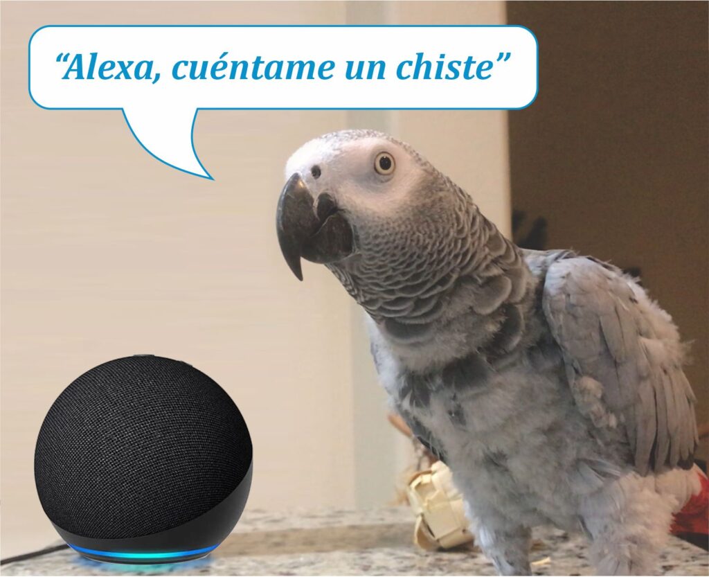 ¿Cómo divertirse con Alexa?